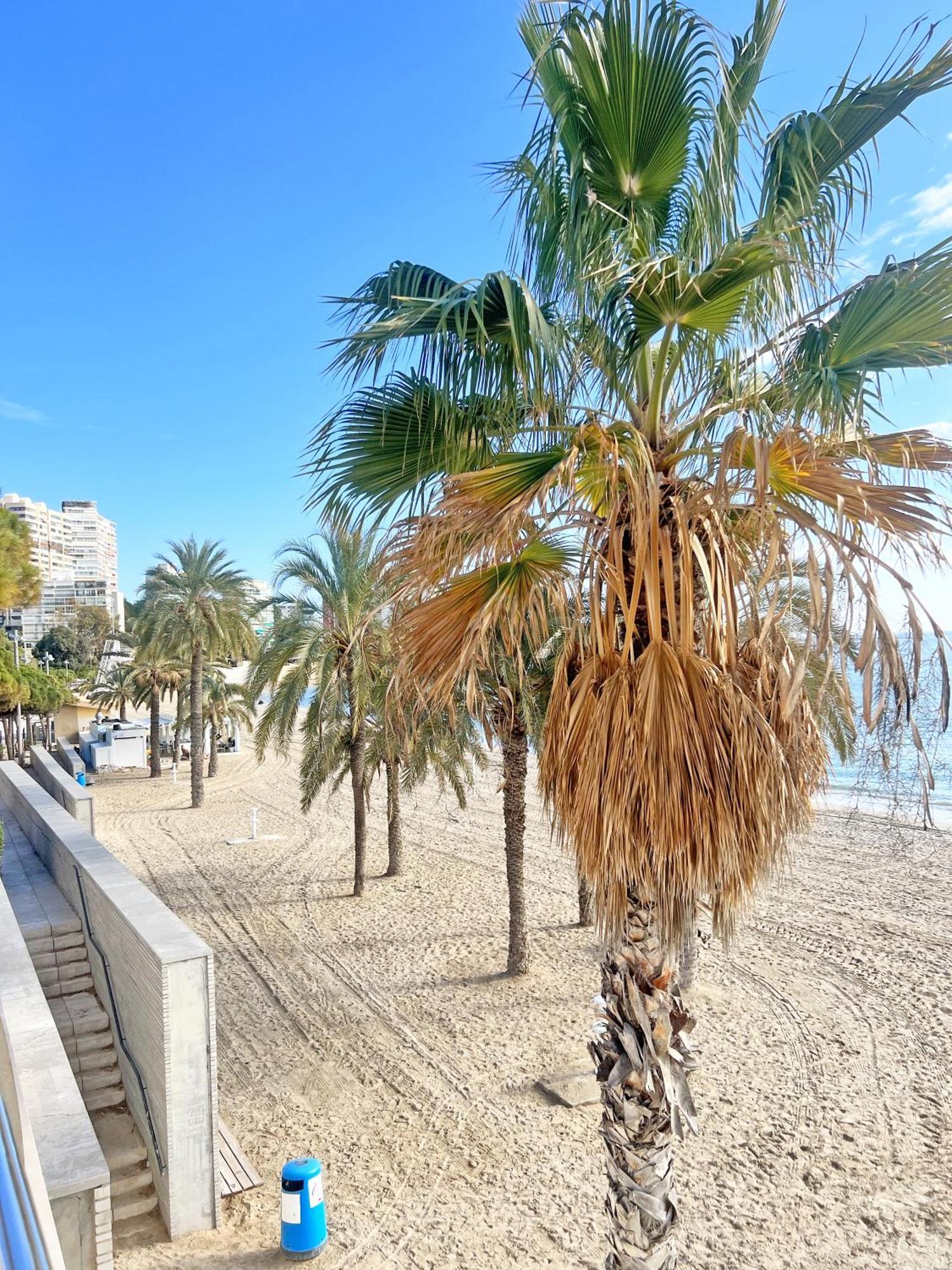 A 100 Metros De La Playa. Parking Gratuito Privado Leilighet Alicante Eksteriør bilde